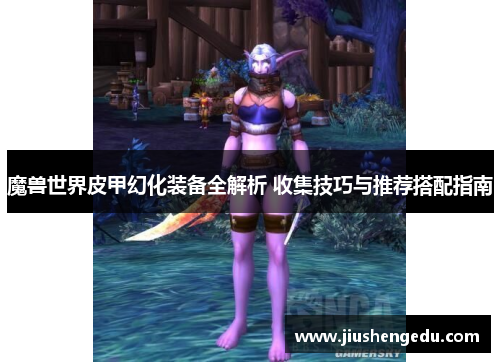魔兽世界皮甲幻化装备全解析 收集技巧与推荐搭配指南 魔兽世界皮甲幻化装备全解析 收集技巧与推荐搭配指南